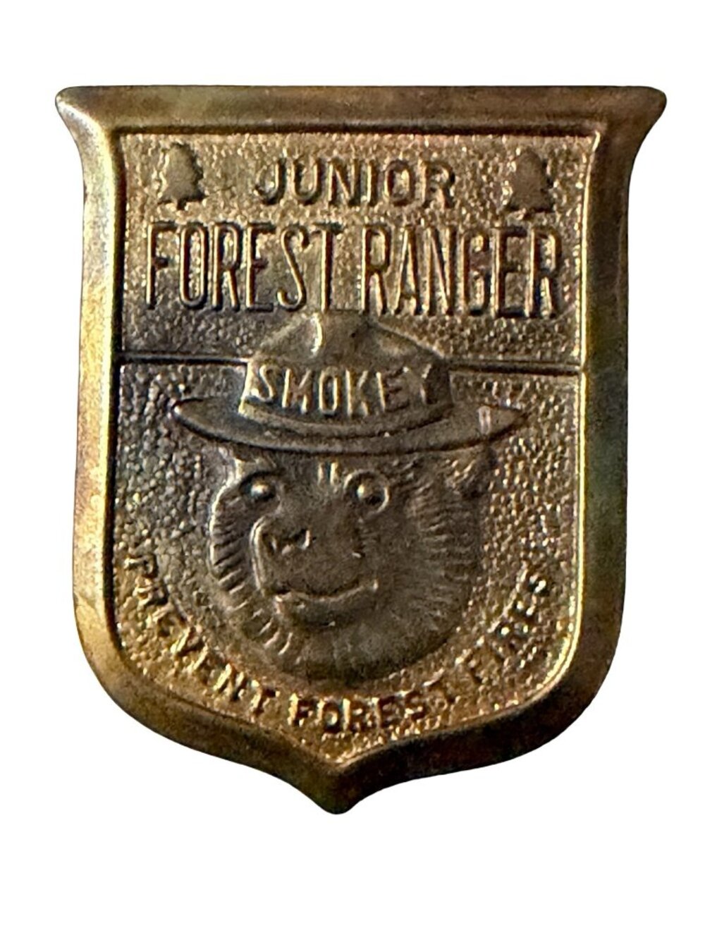 Vintage Smokey Bear Junior Forest Ranger Pin Badge Brass Tone Missing Hook